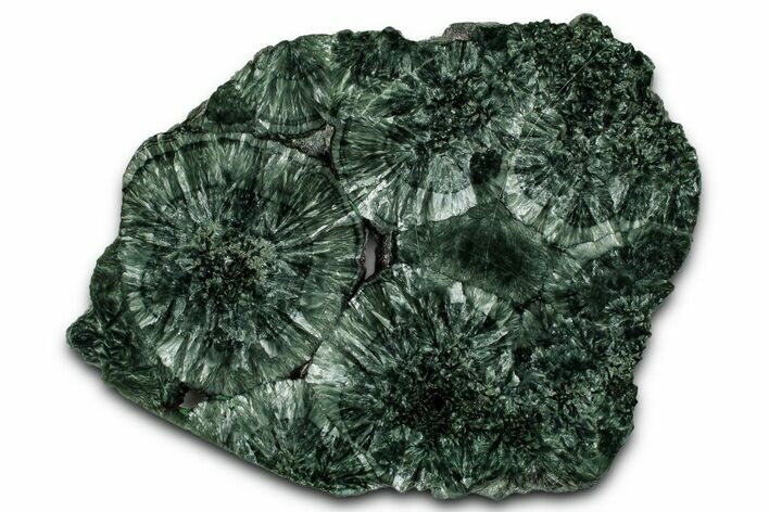 Polished Seraphinite Slab - Korshunovkiy Mine, Siberia #352663